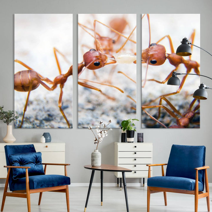 The "Ants Wall Art Canvas Print" features two ants facing each other, beautifully presented across three panels on museum-quality canvas with a UV-protective coating.