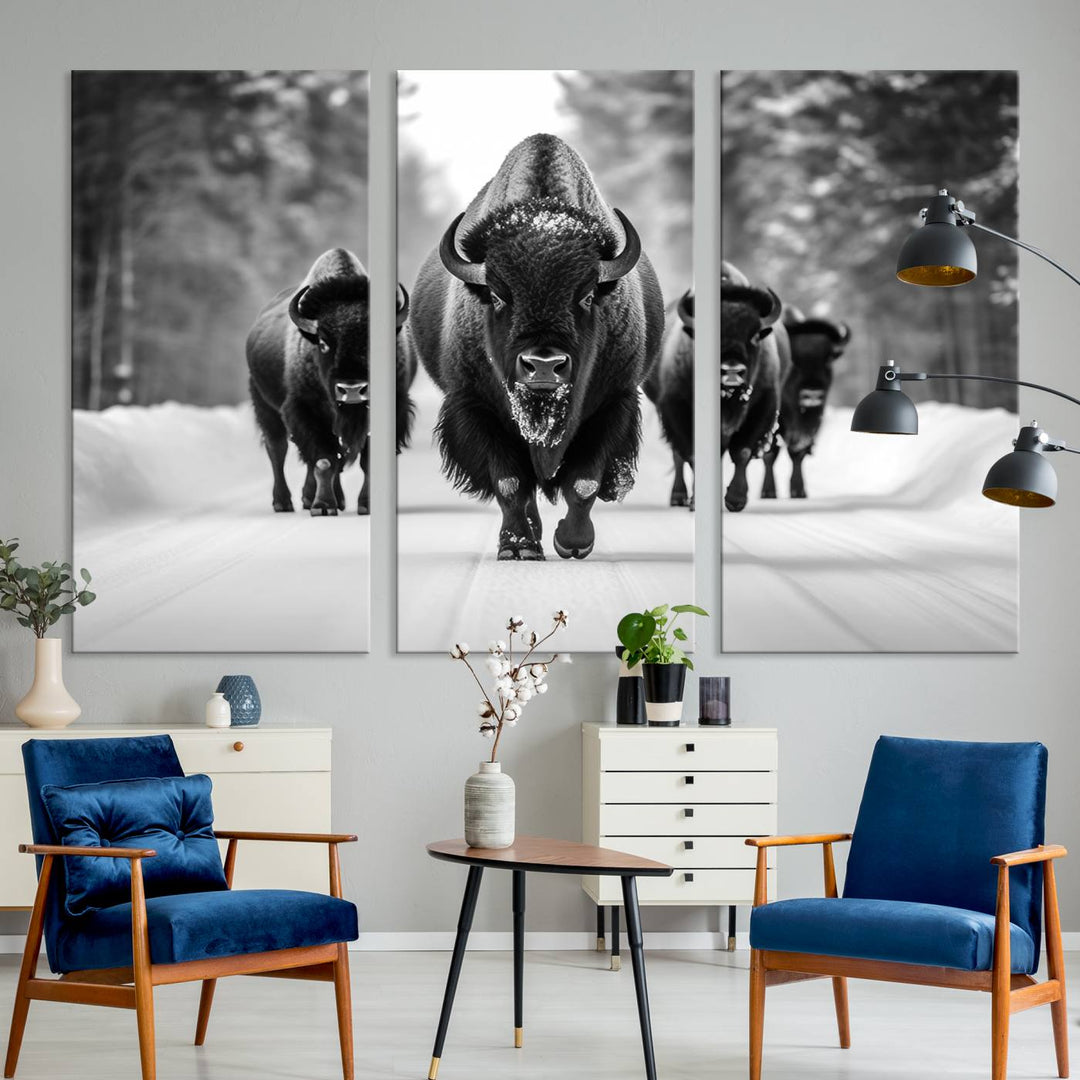 Buffalo Wall Art Canvas Print, Bison Wall Art Canvas Print