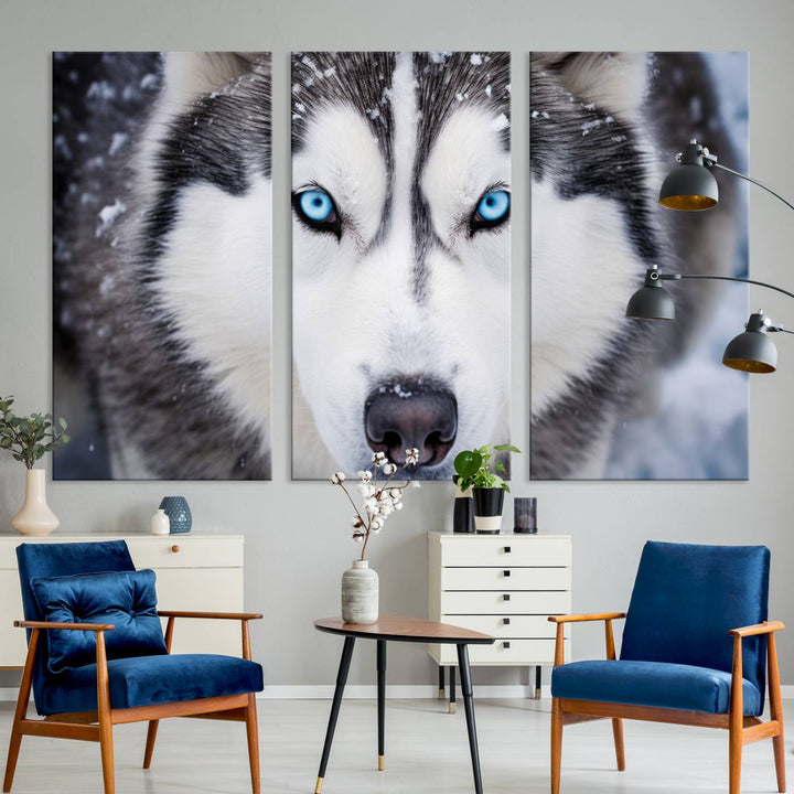 A large framed Winter Siberian Husky Wolf Wall Art Canvas Print, an exquisite piece of animal portrait decor, hangs prominently on the wall.