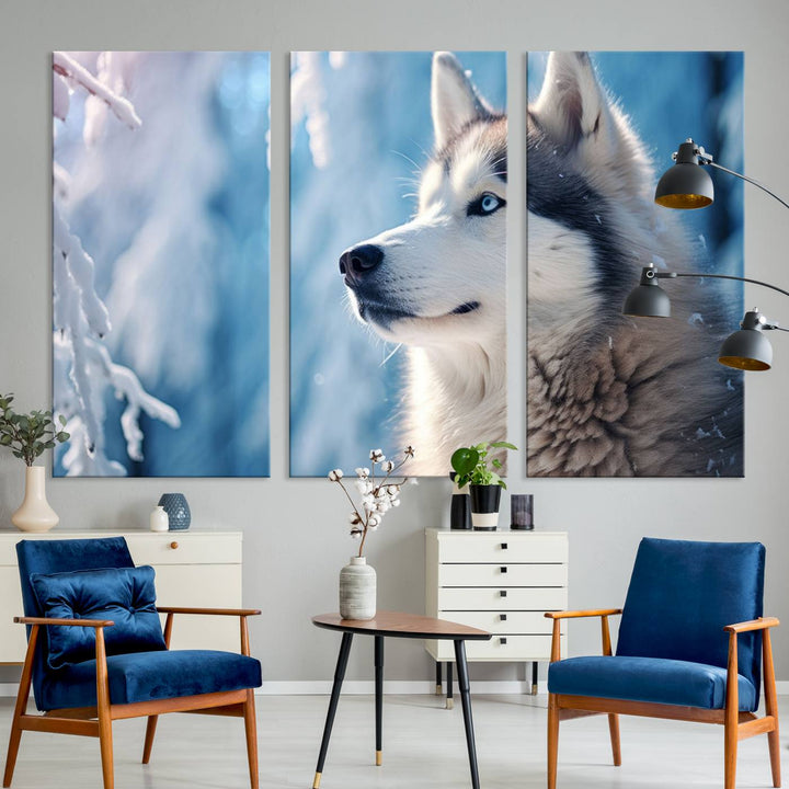 A captivating Winter Siberian Husky Wolf Wall Art Canvas Print hangs prominently.