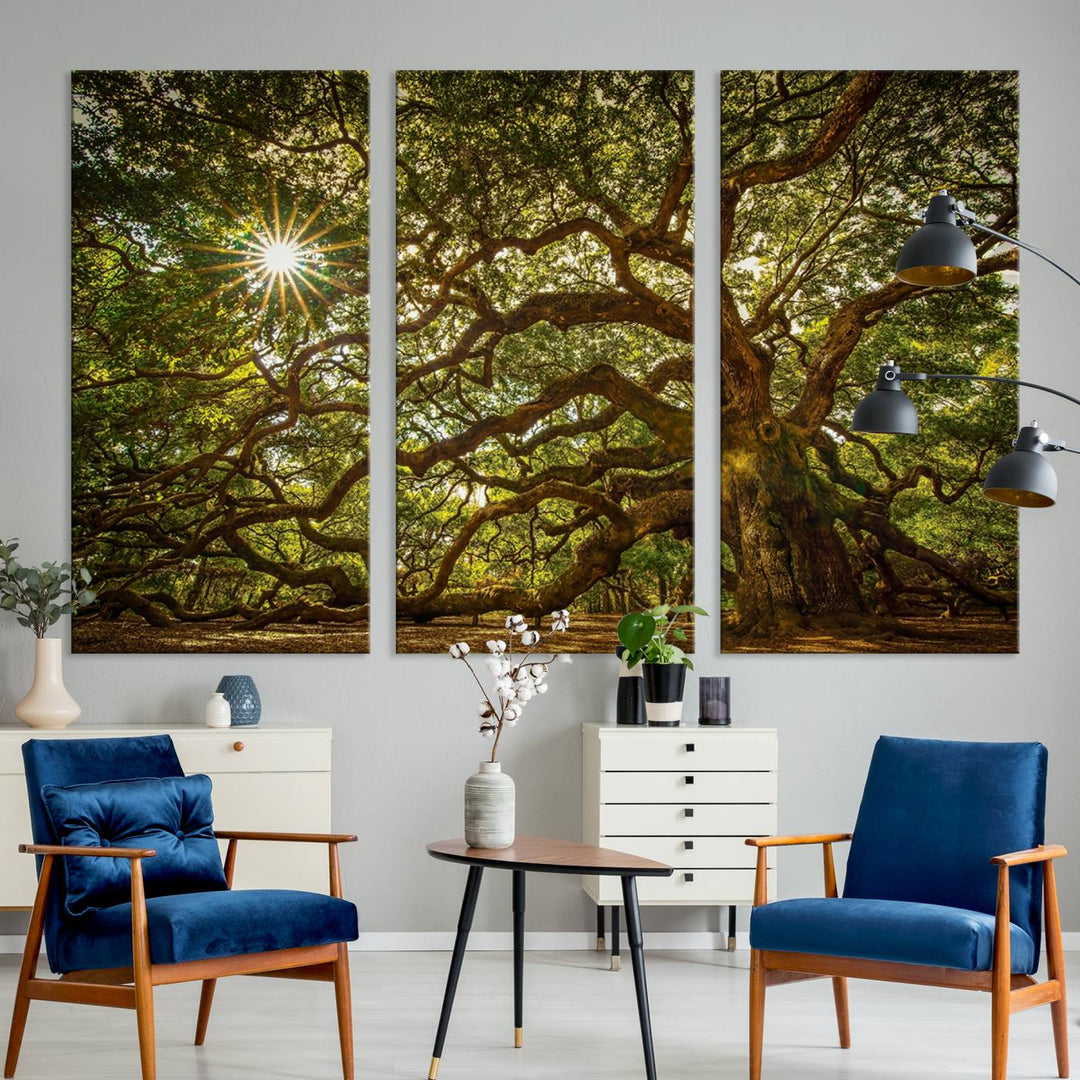 Ancient Angel Oak Tree Sunburst Wall Art - Nature-Inspired Triptych Canvas Print, Framed, Ready to Hang