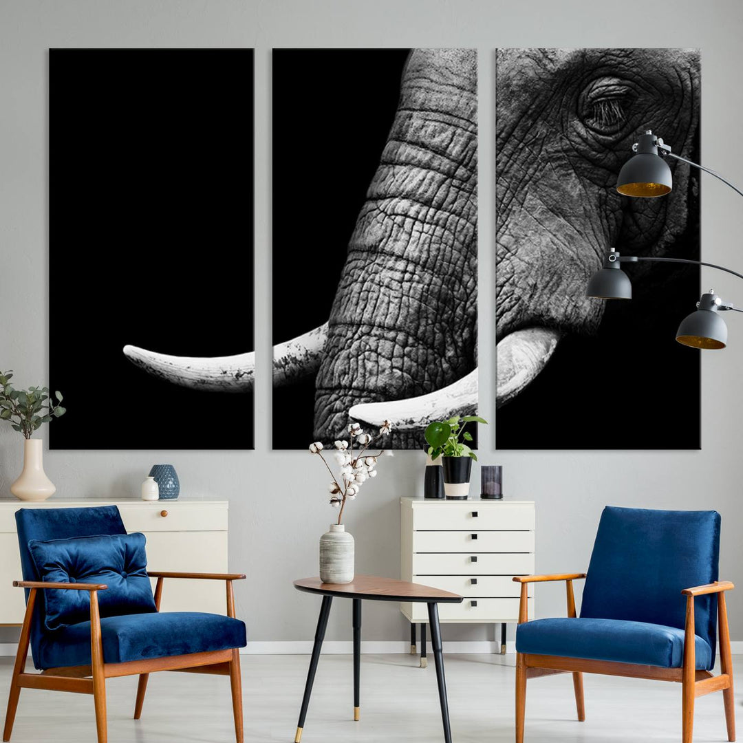 Wall Art Animal Canvas Print Close Taken Elephant with Big Ivories