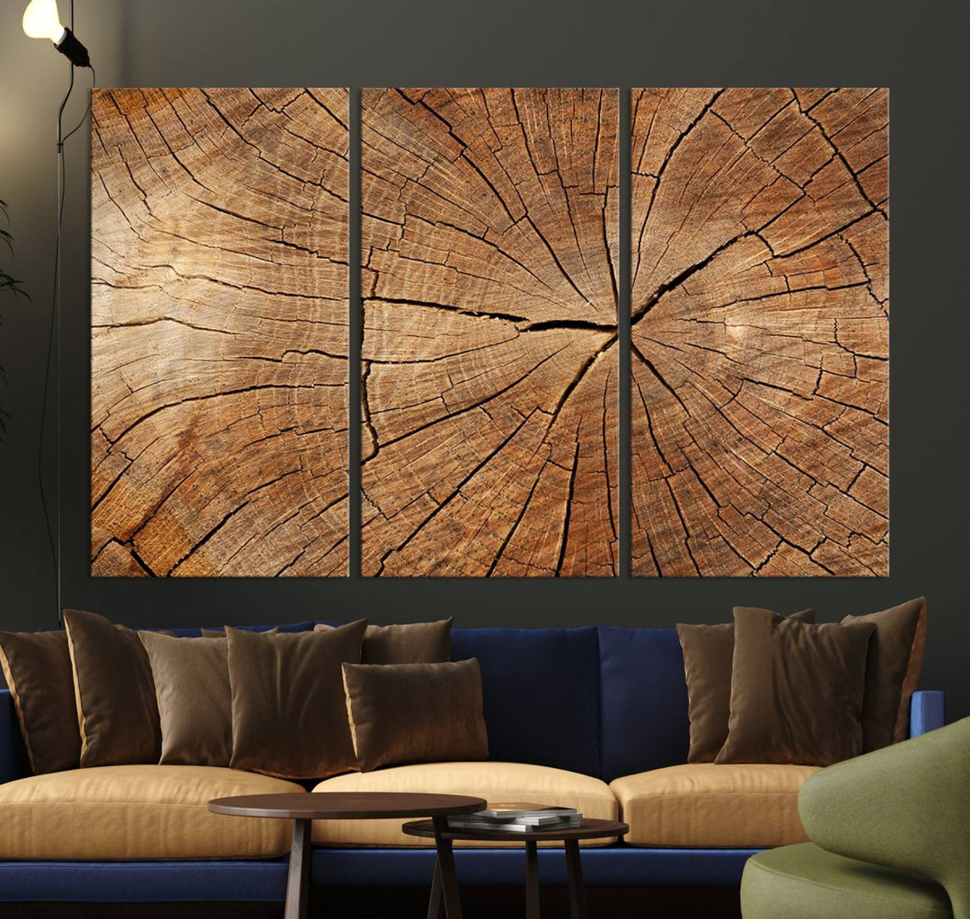 The stunning multi-panel wall art piece, the Tree Ring Canvas Art, features intricate rustic wood grain textures. This giclee triptych hangs elegantly on the wall.