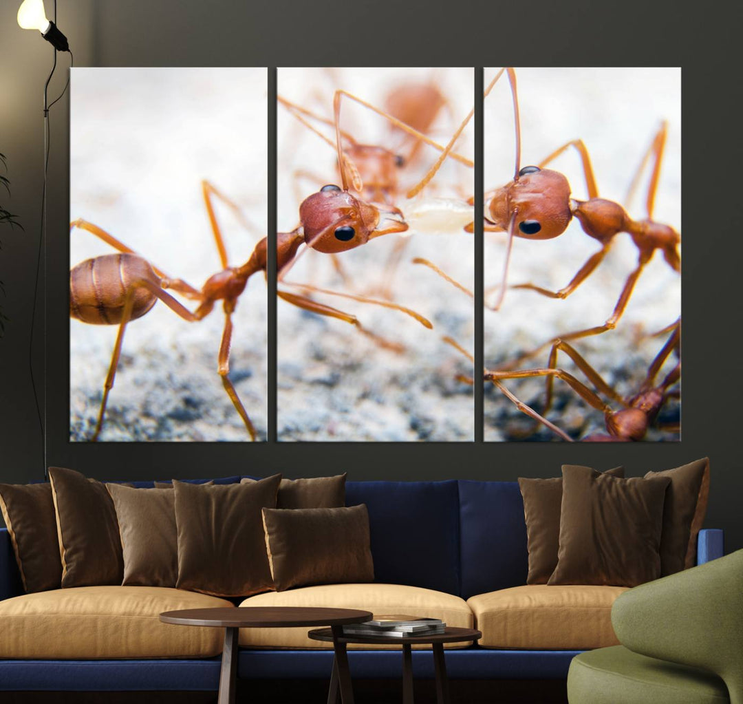 The "Ants Wall Art Canvas Print" features two ants facing each other, beautifully presented across three panels on museum-quality canvas with a UV-protective coating.