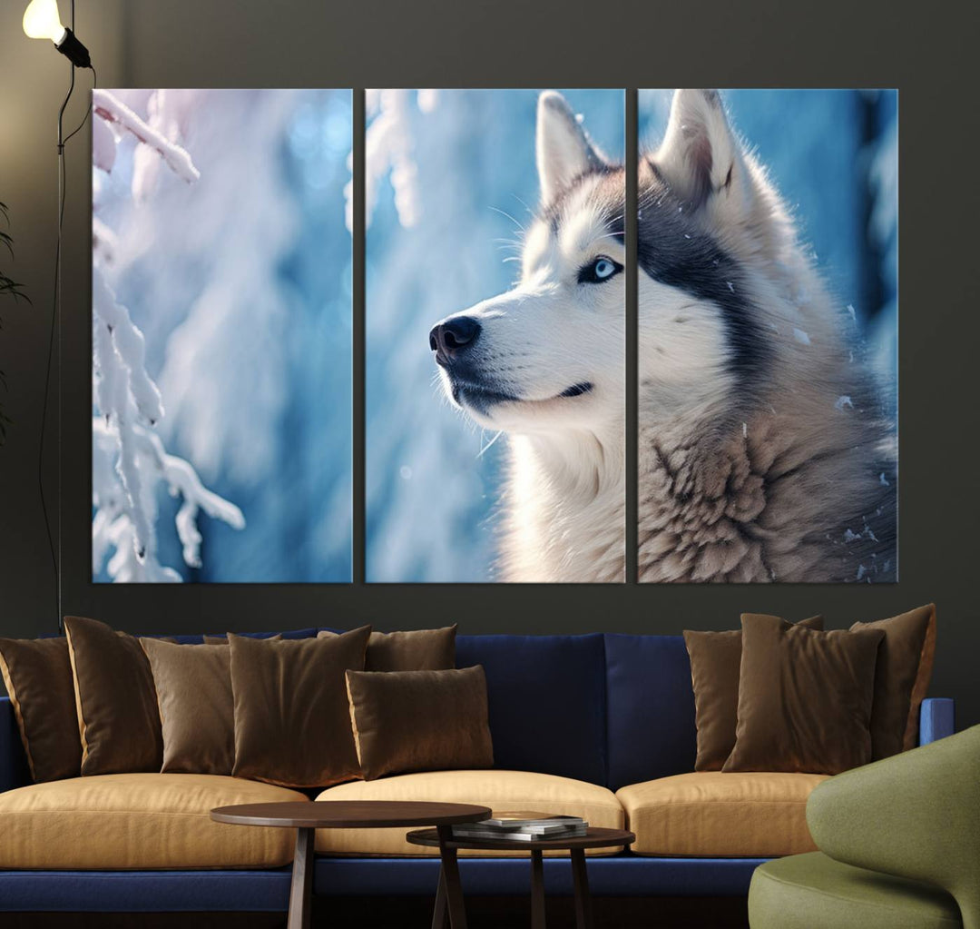 A captivating Winter Siberian Husky Wolf Wall Art Canvas Print hangs prominently.