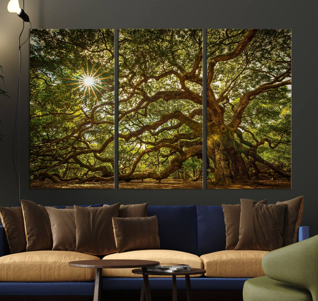 Ancient Angel Oak Tree Sunburst Wall Art - Nature-Inspired Triptych Canvas Print, Framed, Ready to Hang