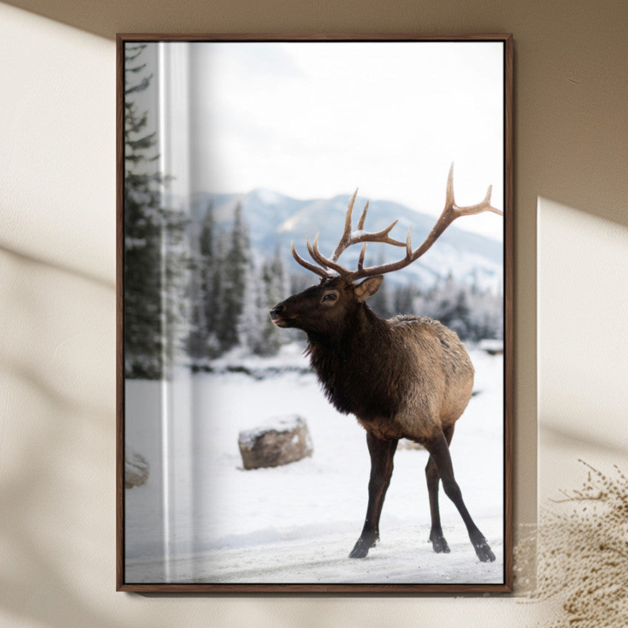 78028549-MGV-FP-48X32-3P_Walnut-Elk Photography Wall Art Canvas Print – Framed Winter Wildlife Snowy Mountains Nature Scene Artwork for Home Office