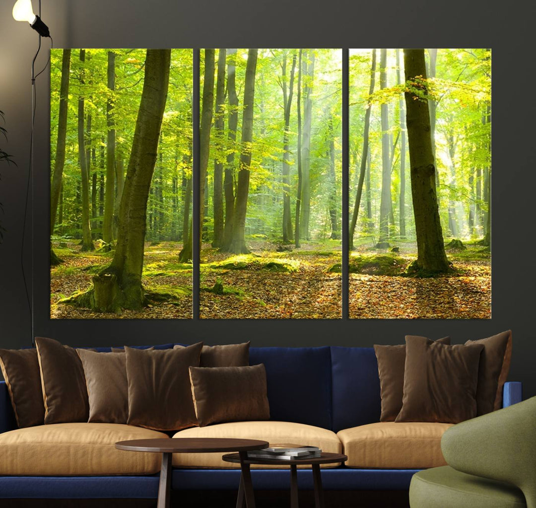 Wall Art Landscape Canvas Print Sunshine in Green Forest