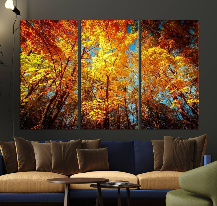 Forest View at Fall Wall Art Autumn Colors Landscape Canvas Print