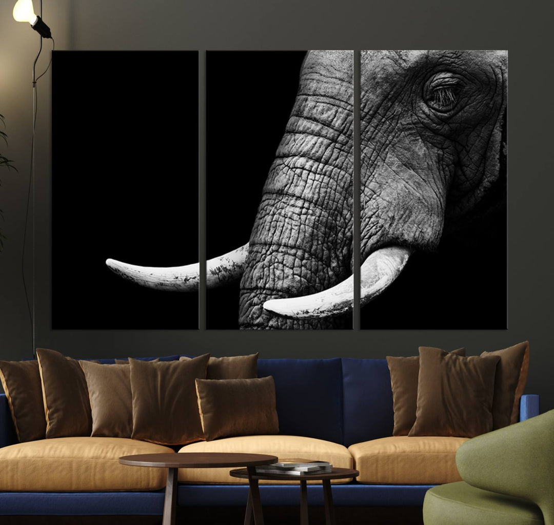 Wall Art Animal Canvas Print Close Taken Elephant with Big Ivories