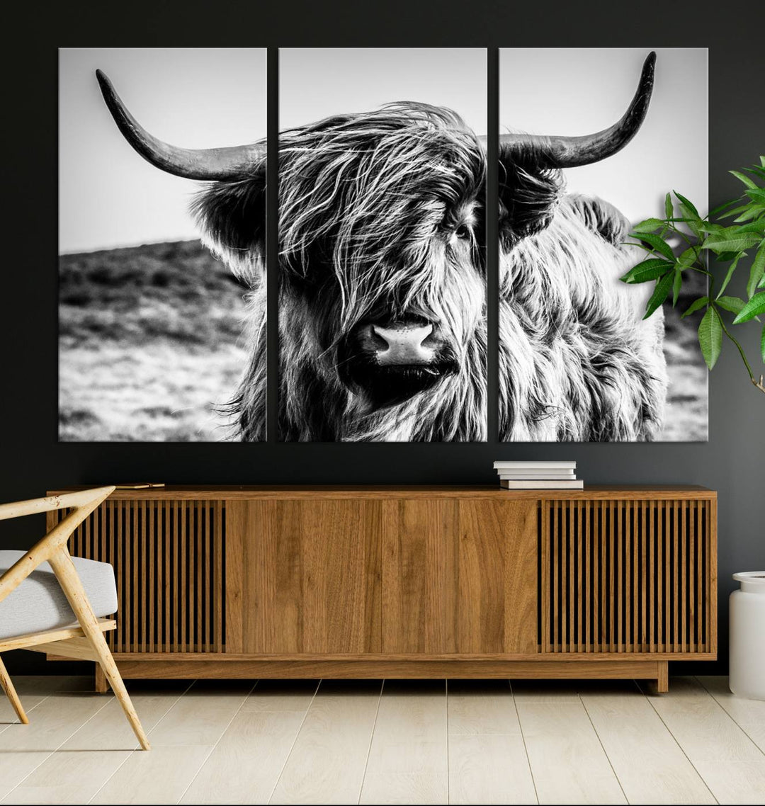 Scottish Cow Black and White Wall Canvas Art Print Farm House