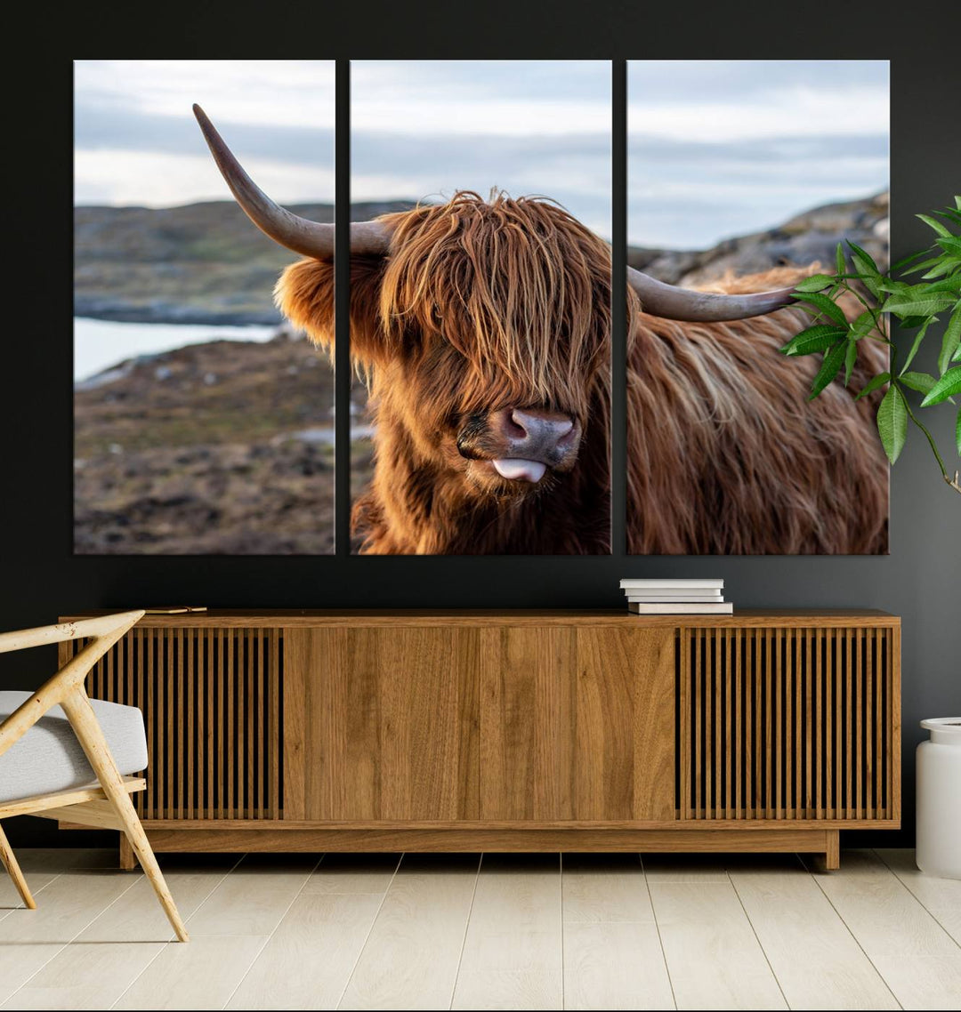 Cuddly Highland Cow Canvas Photo Wall Art Print Highlands Art Cute Animal Wall Art