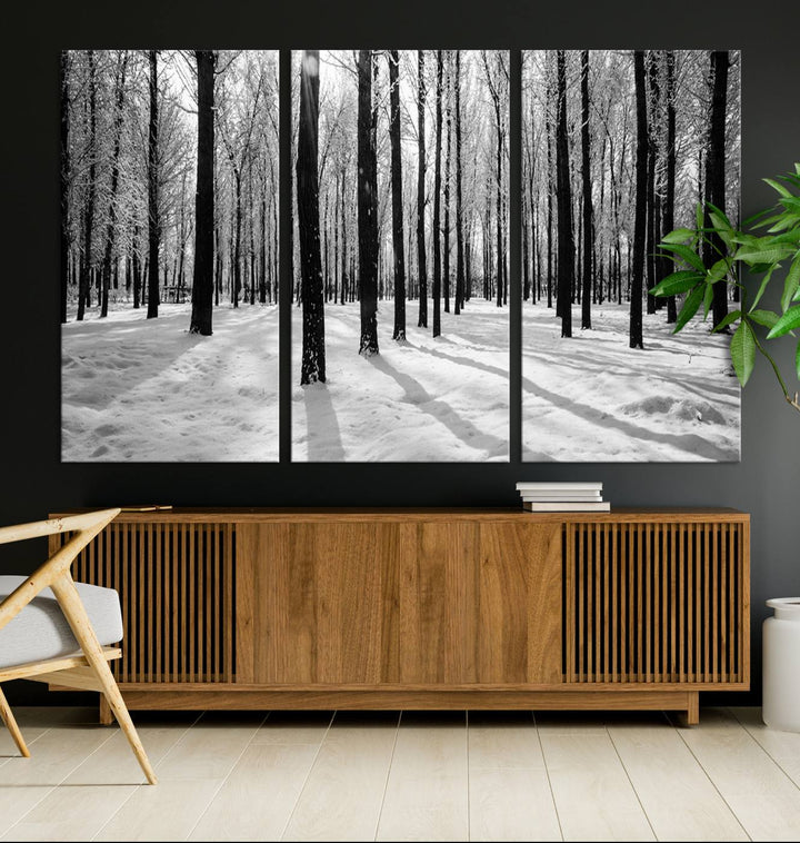 Arte de pared grande, bosque de invierno, álamos, impresión en lienzo