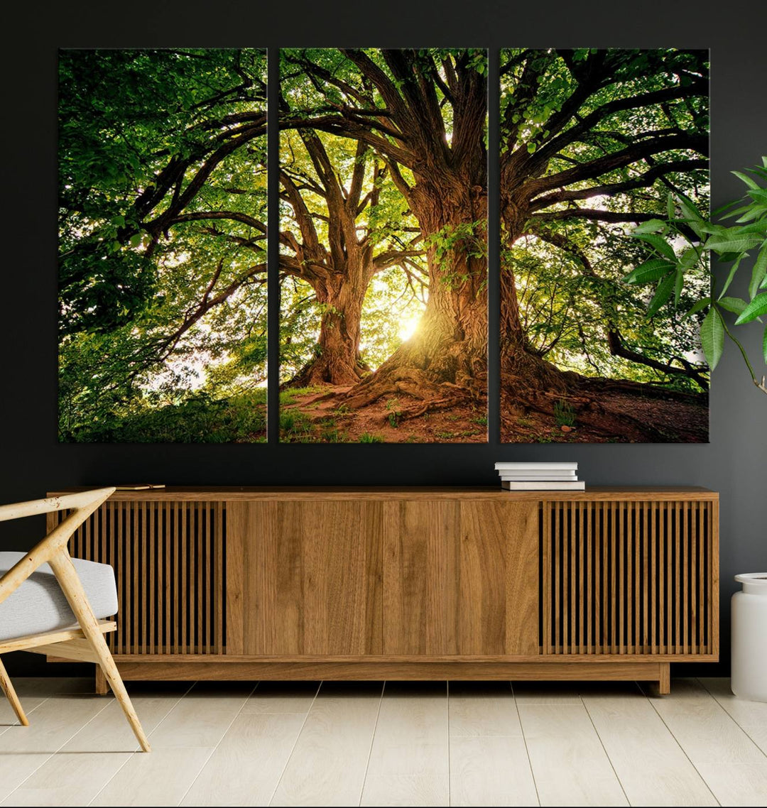 Majestic Ancient Tree Wall Art, Nature-Inspired Canvas Print, Woodland Art, Tree of Life Artwork, Sunlit Forest, Giclee Nature Print