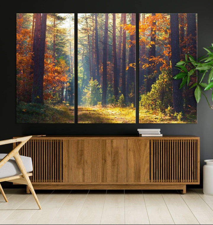 Forêt Sunshine Wall Art Impression sur toile