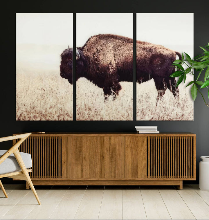 A stylish living room showcases the captivating "Bison in Field" Wall Art Canvas Print as farmhouse decor.