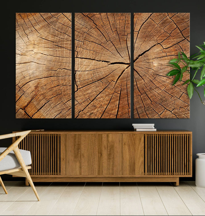 The stunning multi-panel wall art piece, the Tree Ring Canvas Art, features intricate rustic wood grain textures. This giclee triptych hangs elegantly on the wall.