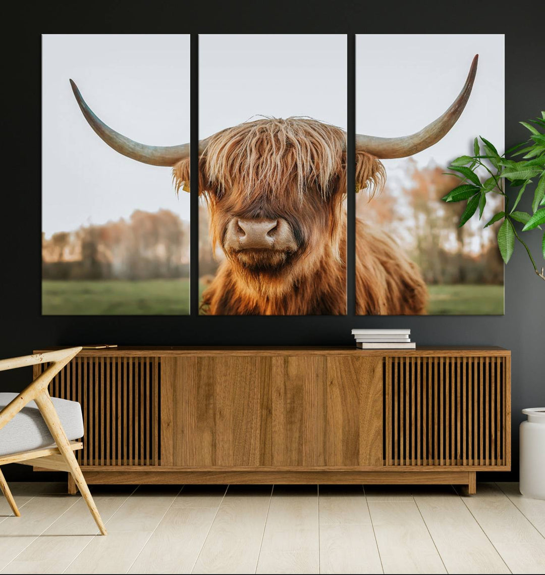 A Highland Cow Animal Scottish Cattle Art Print Farmhouse Wall Art Canvas Print hangs in the living room, adding a touch of rustic farmhouse decor.