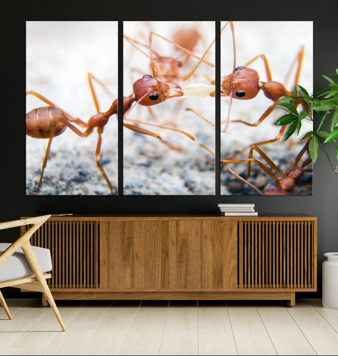 The "Ants Wall Art Canvas Print" features two ants facing each other, beautifully presented across three panels on museum-quality canvas with a UV-protective coating.