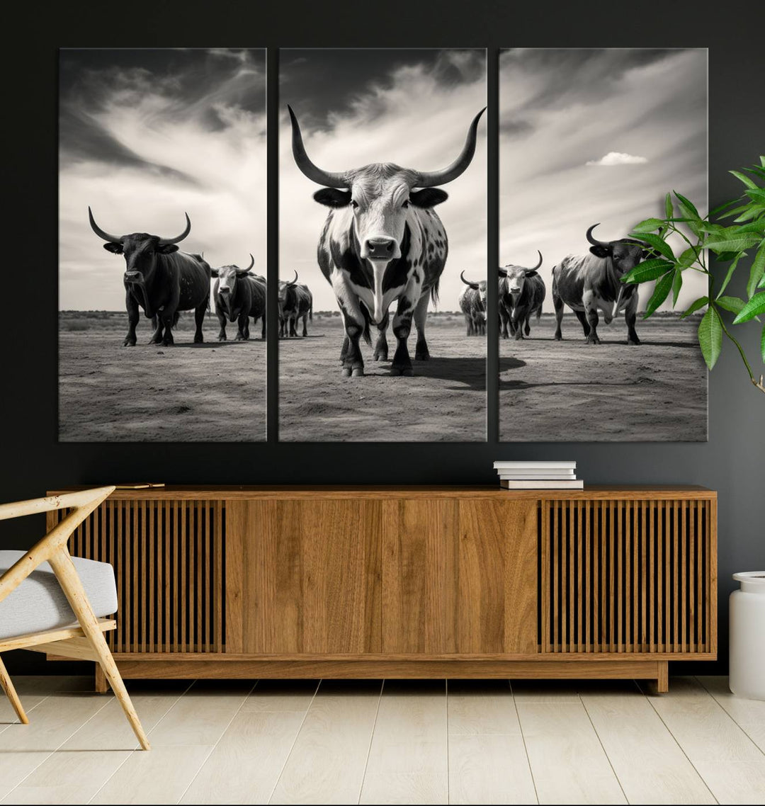 The Black and White Longhorn Cattle Wall Art, featuring a three-panel display of cowboy Western longhorns walking toward the viewer, enhances your space with its striking presence, adding a touch of Western decor.