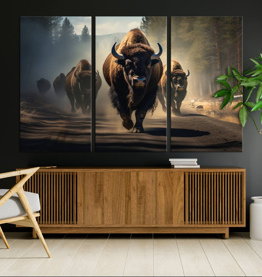 Buffalo Wall Art Canvas Print, Bison Wall Art Canvas Print