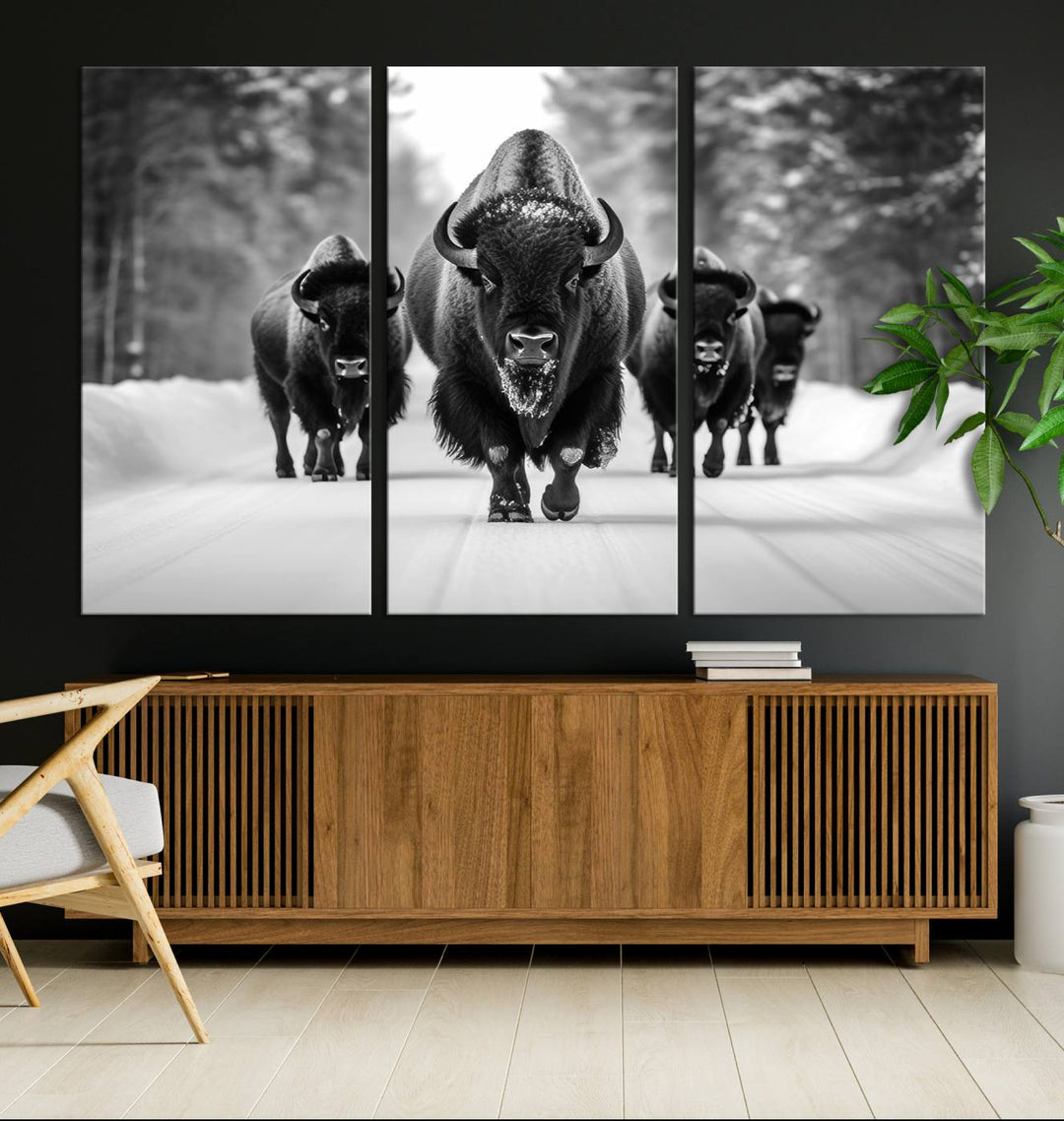 Buffalo Wall Art Canvas Print, Bison Wall Art Canvas Print