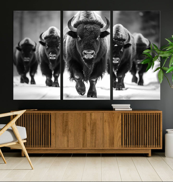 A modern living room features a striking black-and-white American Bison Art | Buffalo Herd Wall Art Canvas Print on the wall.