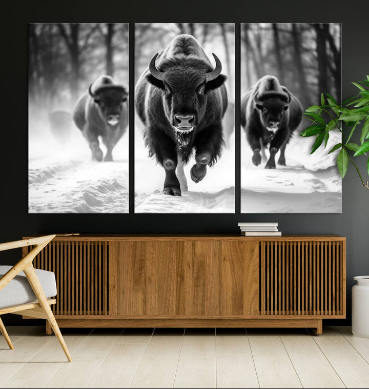 Transform your living room with the Buffalo Wall Art Canvas Print triptych, showcasing a bison family in motion across a snowy landscape. This striking Western decor piece becomes the focal point of any room.