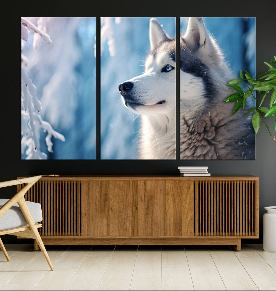 A captivating Winter Siberian Husky Wolf Wall Art Canvas Print hangs prominently.