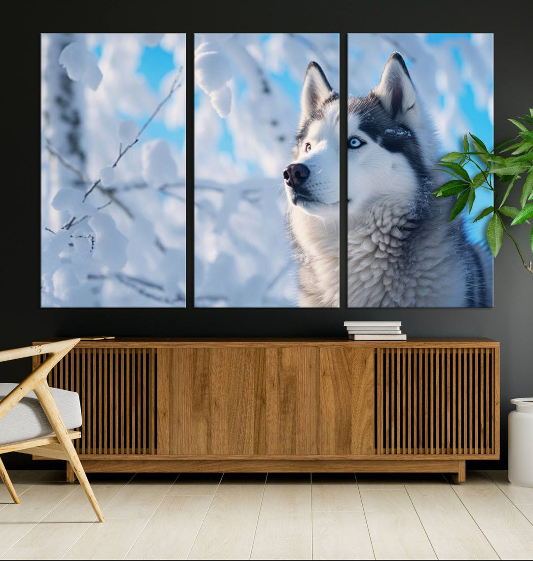 The Siberian Husky Art Canvas elegantly enhances the room.