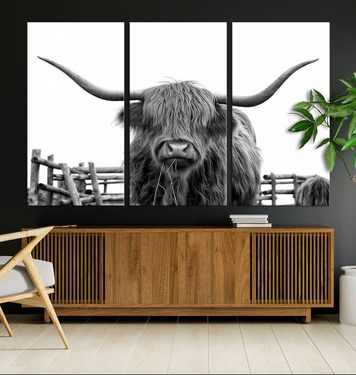 The Longhorn Canvas Print, featuring a black-and-white triptych of a Bighorn cow with shaggy fur and impressive long horns, is elegantly showcased. This wall art piece boasts a gallery-quality finish on premium canvas, bringing sophistication to any room.