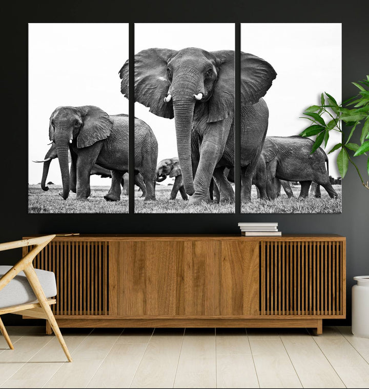 The Black White Elephant Family Wall Art Canvas Print features a triptych of elephants walking in the wild, crafted as gallery-quality wall art on premium canvas.