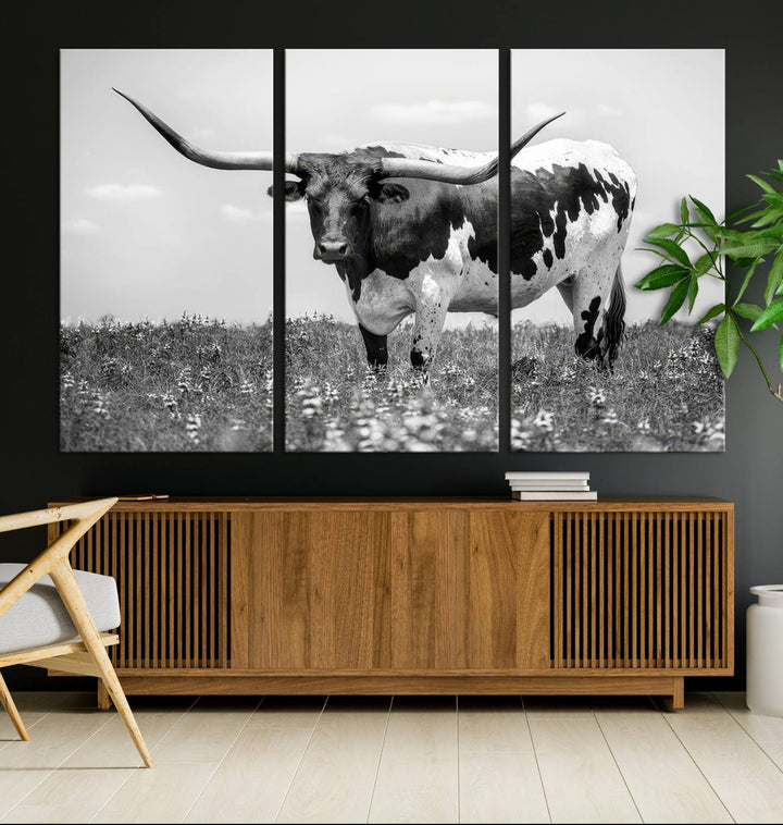 The Texas Black White Highland Longhorn Cow Wall Art Canvas Print, a gallery-quality triptych, elegantly adorns the wall, showcasing a striking black-and-white depiction of a longhorn cow in a field.