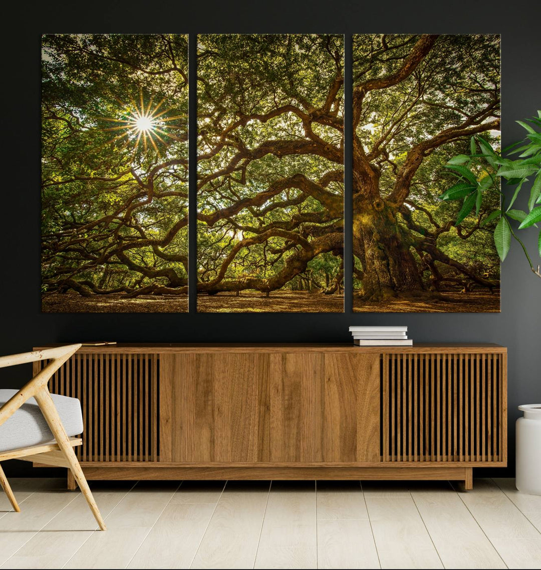 Ancient Angel Oak Tree Sunburst Wall Art - Nature-Inspired Triptych Canvas Print, Framed, Ready to Hang