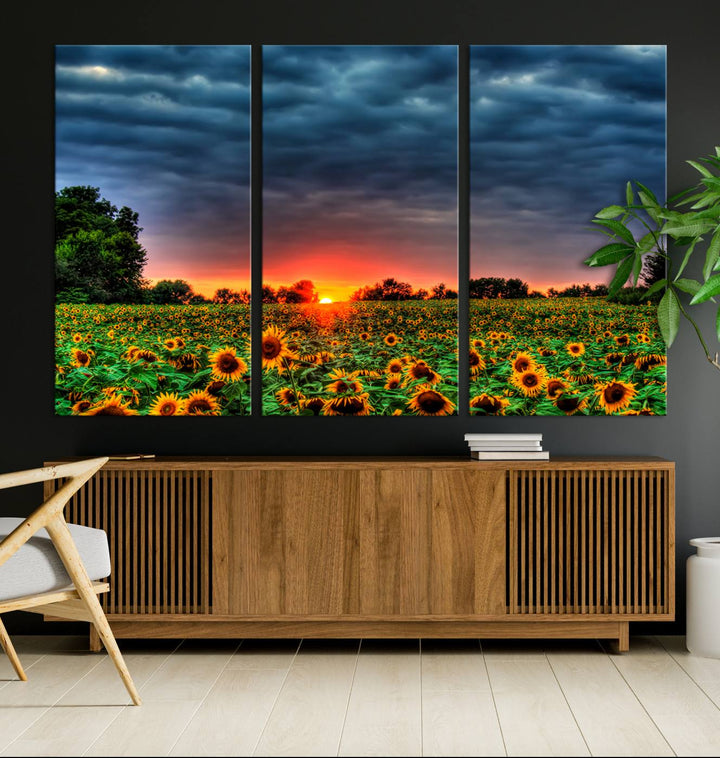 Golden Sunflower Field at Sunset – Breathtaking Sky and Vibrant Flowers, Ready to Hang Wall Art Canvas Print