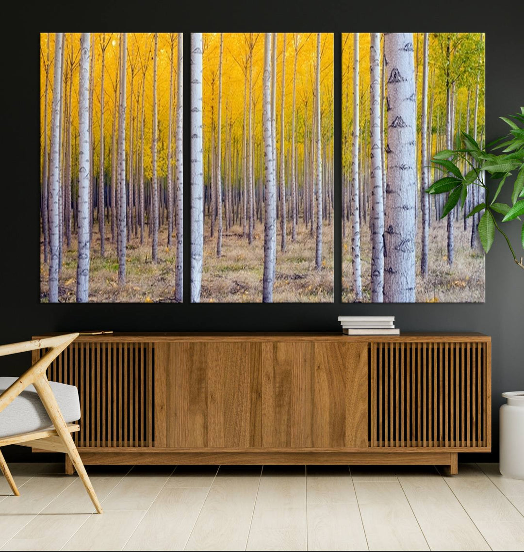 Impresión artística de pared con bosque de abedules en otoño