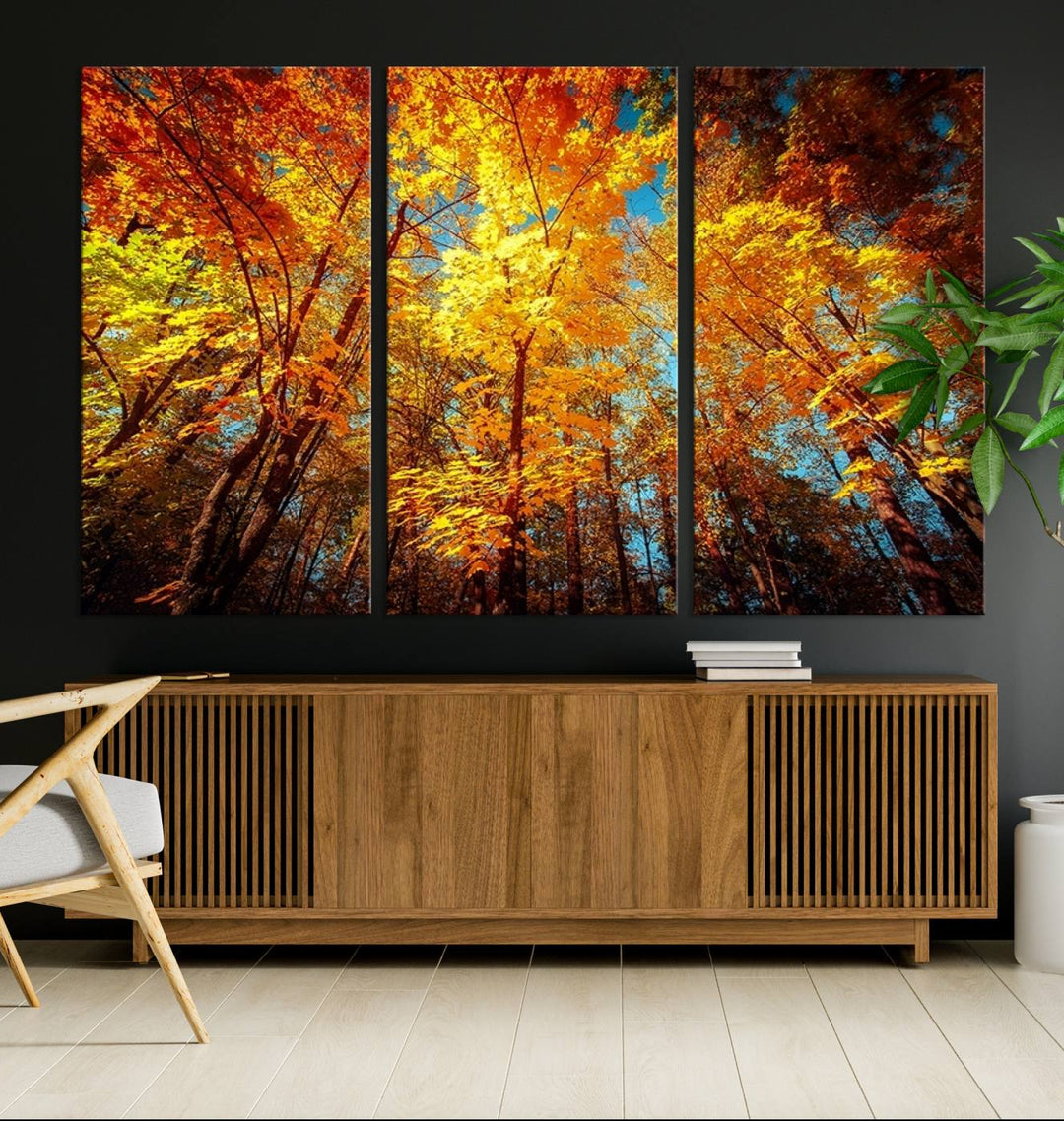 Forest View at Fall Wall Art Autumn Colors Landscape Canvas Print