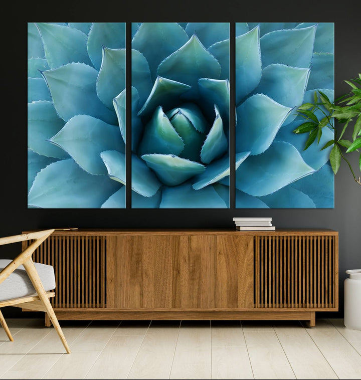 A stunning Large Agave Succulent Canvas Wall Art, a botanical close-up print perfect for modern living rooms, hangs prominently.