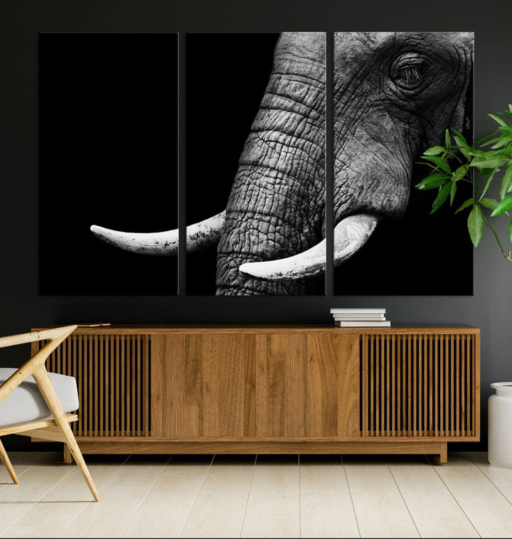 Wall Art Animal Canvas Print Close Taken Elephant with Big Ivories