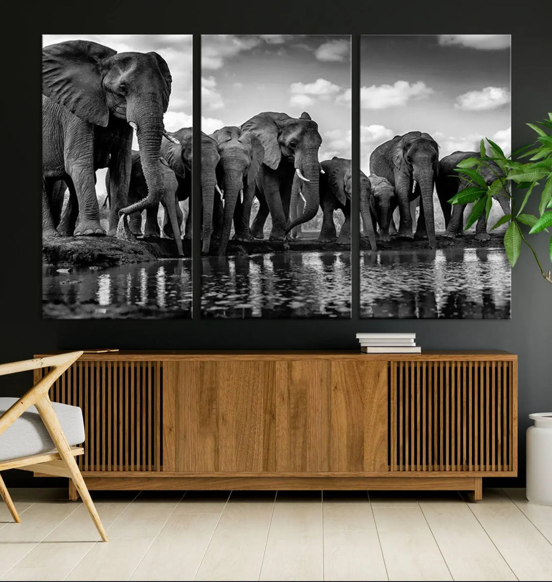 A stunning "Wall Art Animal Canvas Print" featuring a black and white photo of a herd of elephants drinking water is elegantly displayed, gallery wrapped on museum-quality canvas.