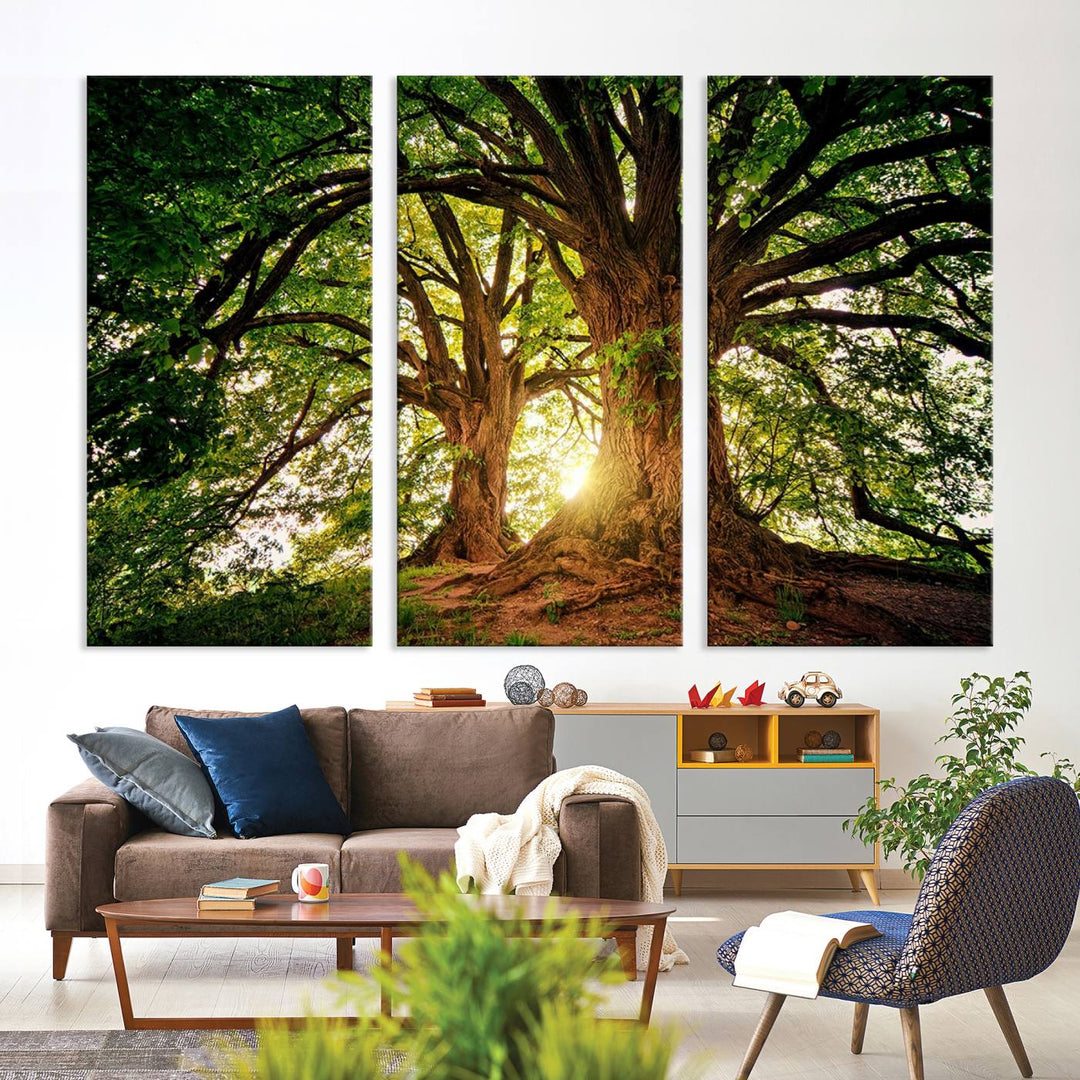 Majestic Ancient Tree Wall Art, Nature-Inspired Canvas Print, Woodland Art, Tree of Life Artwork, Sunlit Forest, Giclee Nature Print