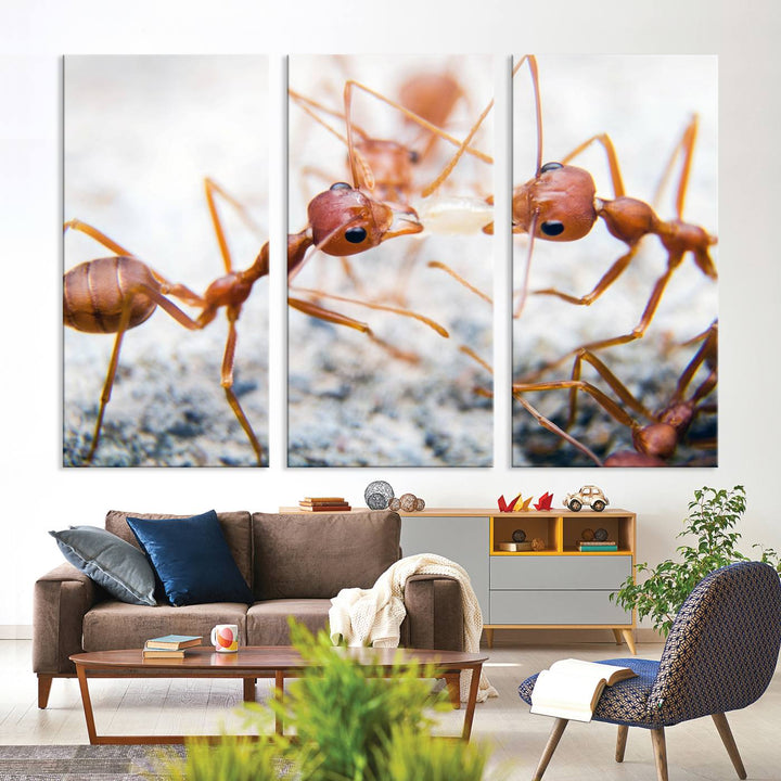 The "Ants Wall Art Canvas Print" features two ants facing each other, beautifully presented across three panels on museum-quality canvas with a UV-protective coating.