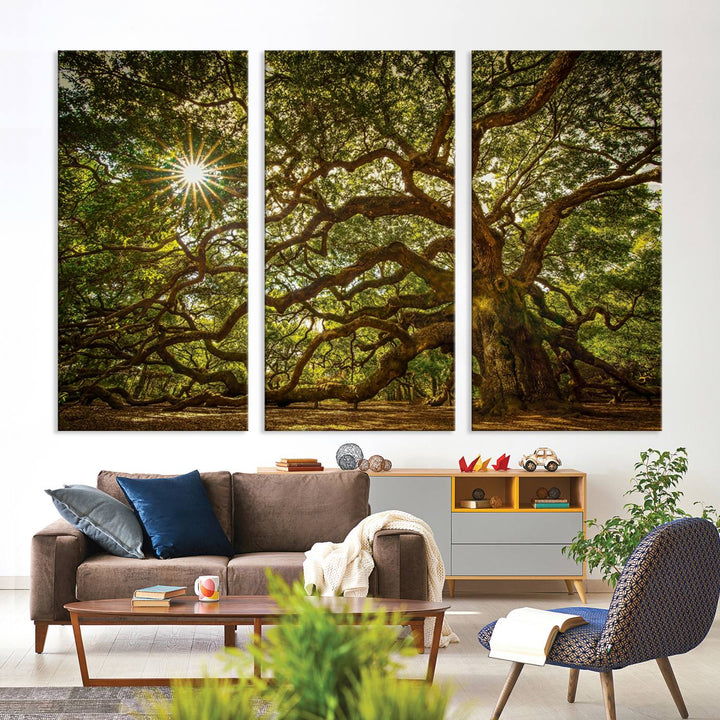 Ancient Angel Oak Tree Sunburst Wall Art - Nature-Inspired Triptych Canvas Print, Framed, Ready to Hang