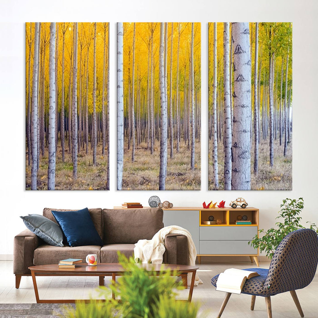 Birch Trees Forest in Autumn Wall Art Print