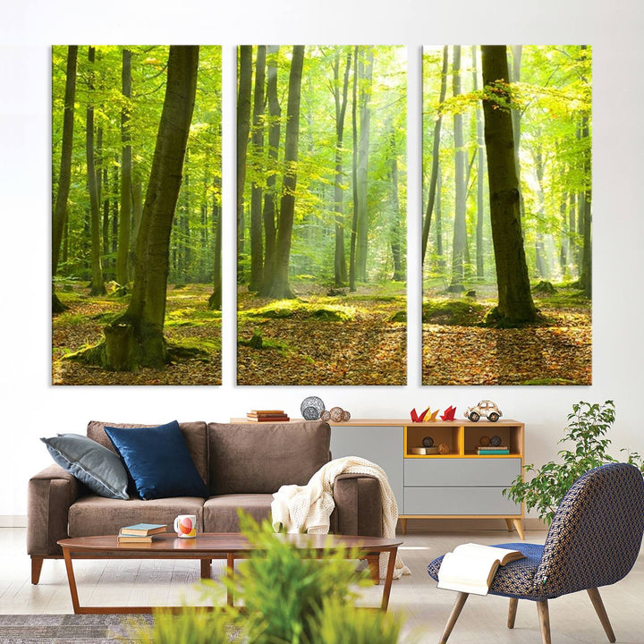 Wall Art Landscape Canvas Print Sunshine in Green Forest