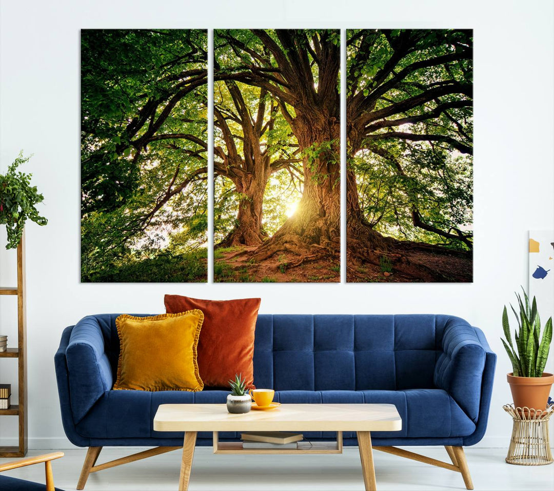 Majestic Ancient Tree Wall Art, Nature-Inspired Canvas Print, Woodland Art, Tree of Life Artwork, Sunlit Forest, Giclee Nature Print