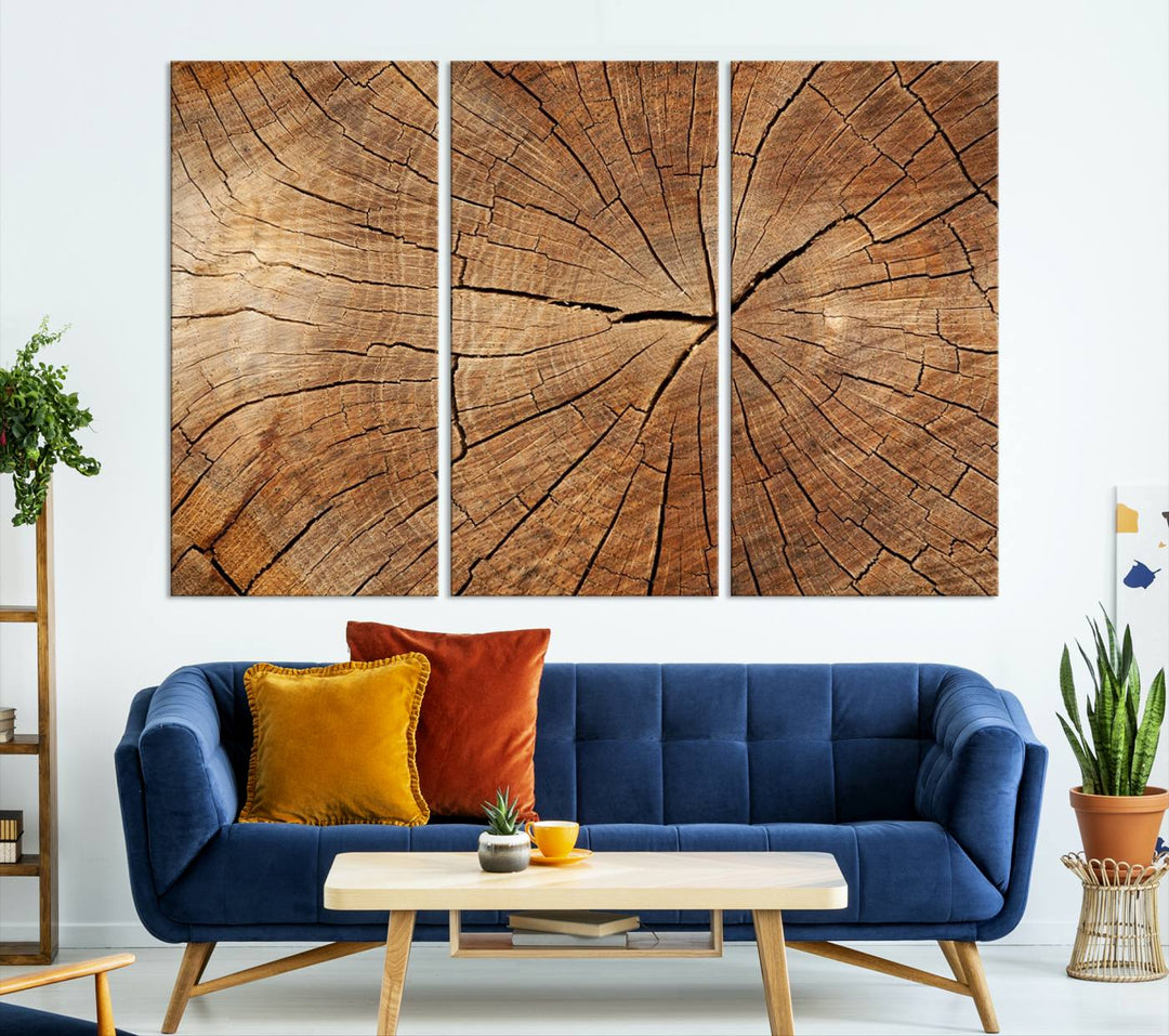 The stunning multi-panel wall art piece, the Tree Ring Canvas Art, features intricate rustic wood grain textures. This giclee triptych hangs elegantly on the wall.