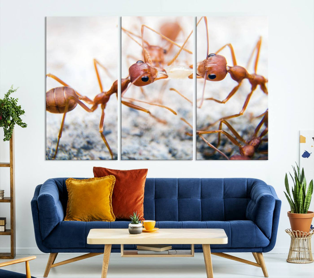 The "Ants Wall Art Canvas Print" features two ants facing each other, beautifully presented across three panels on museum-quality canvas with a UV-protective coating.