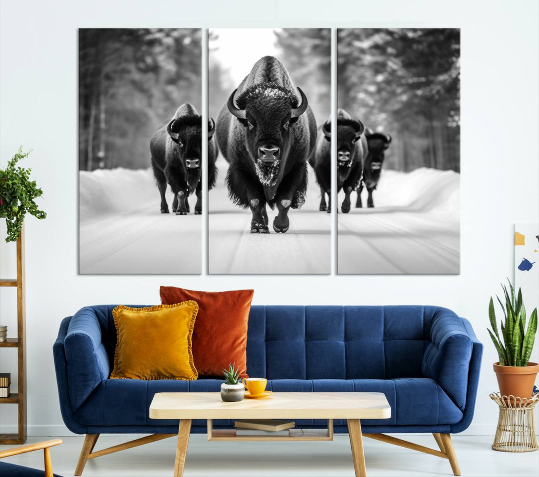 Buffalo Wall Art Canvas Print, Bison Wall Art Canvas Print