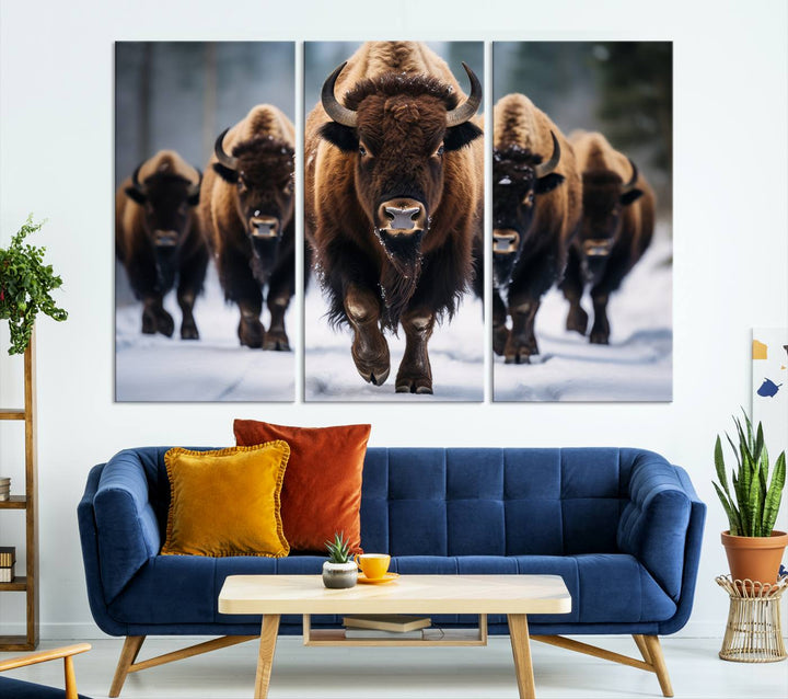 Buffalo Wall Art Canvas Print, American Bison Herd Wall Art Canvas Print